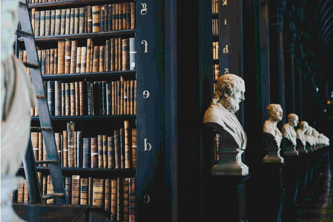 SCECO account overview